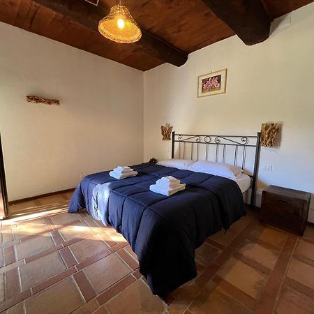 B&B Podere Legnotorto 카스텔 델 피아노 외부 사진